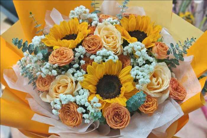 ���ݿ���ػ���